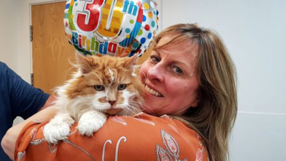 Worlds Oldest Cat