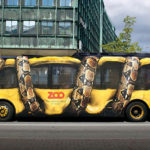 Bus Adverts - Zoo Snake
