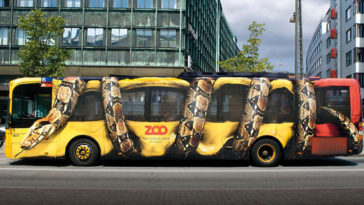 Bus Adverts - Zoo Snake