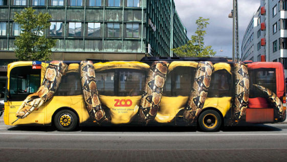 Bus Adverts - Zoo Snake