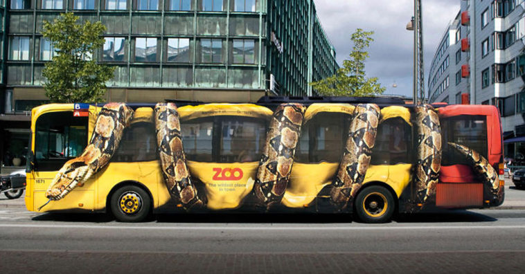 Bus Adverts - Zoo Snake