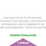 Ronnie O'Sullivan Quotes - Journey