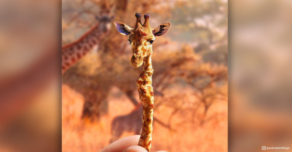 Animals in things - Giraffe and Twiglet