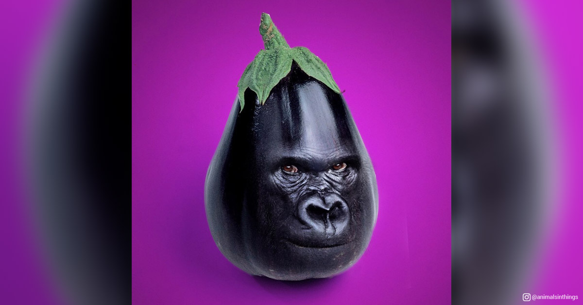 Animals in things - Gorilla and Aubergine