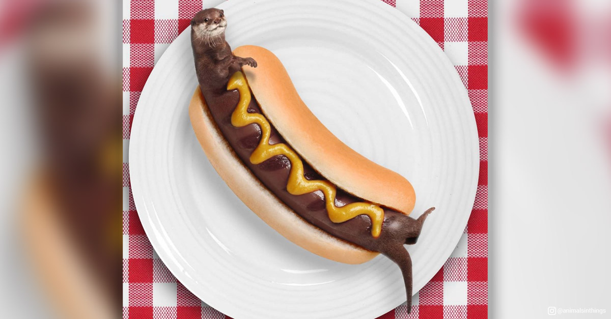 Animals in things - Otter and Sausage