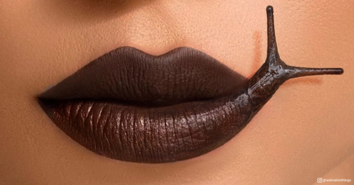 Animals in things - Slug and Lips