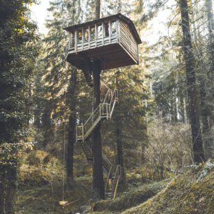 Would you rather? - Tree house