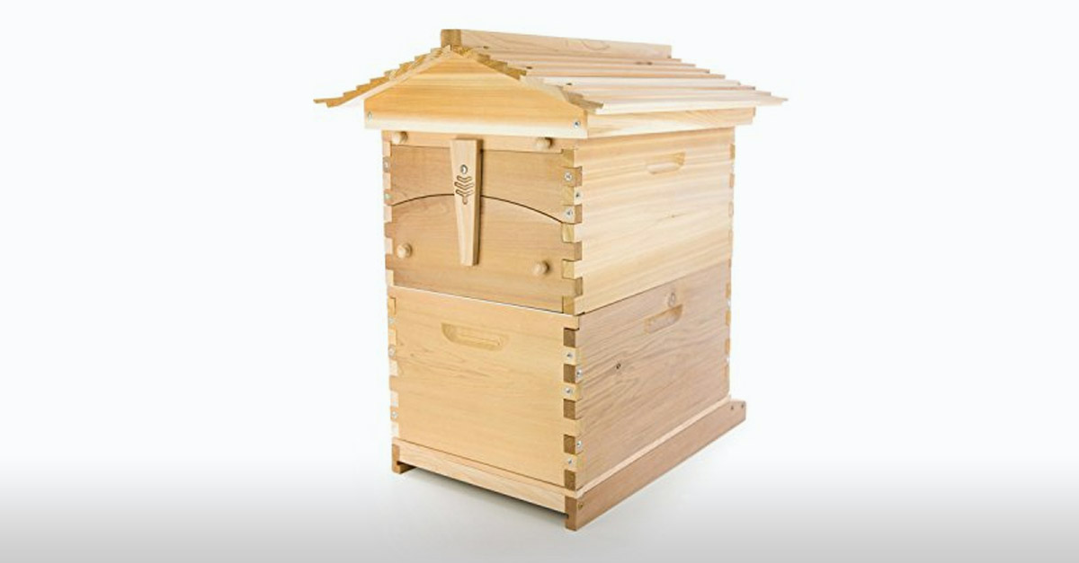 Amazing Wooden Beehive
