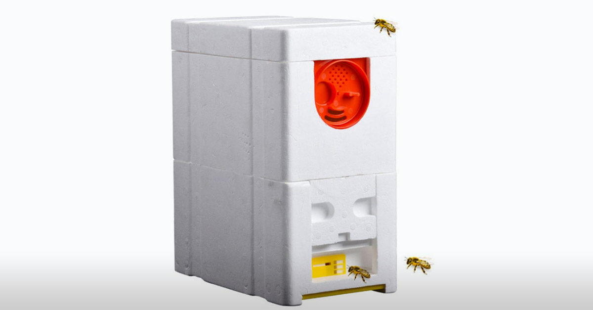 Amazing Polystyrene Beehive