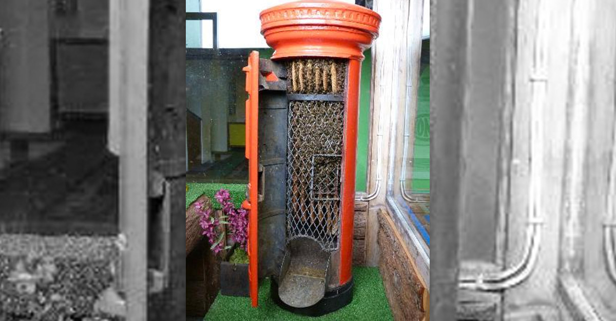 Amazing Postbox Beehive