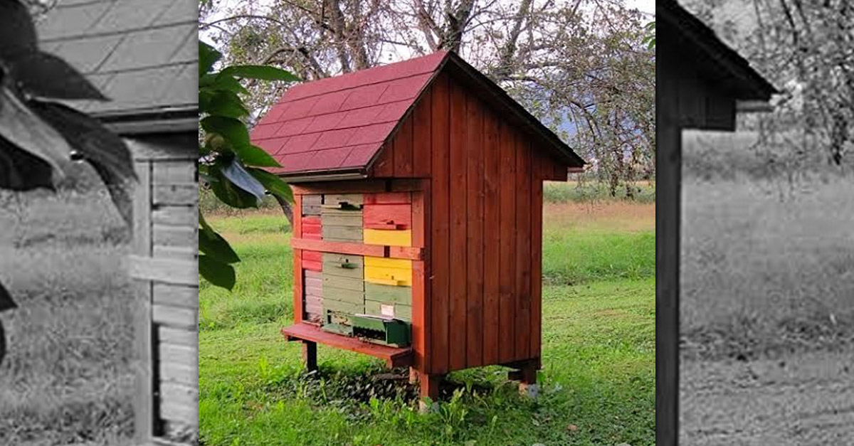 Amazing Colourful Wooden Peeked Roof