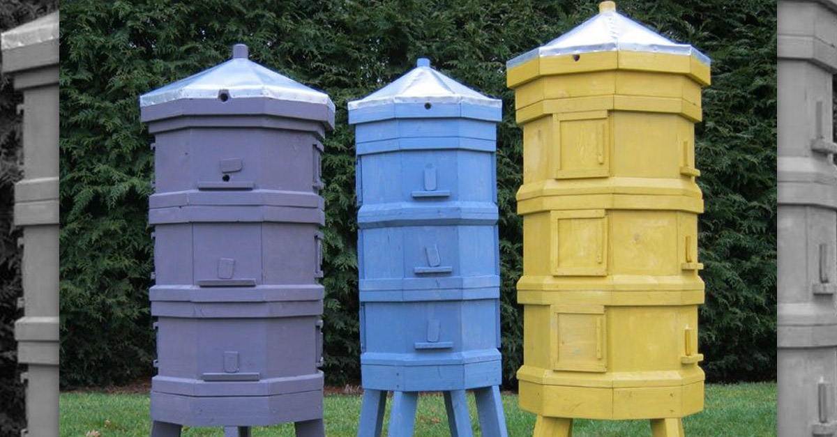 Amazing Hexagon Beehive