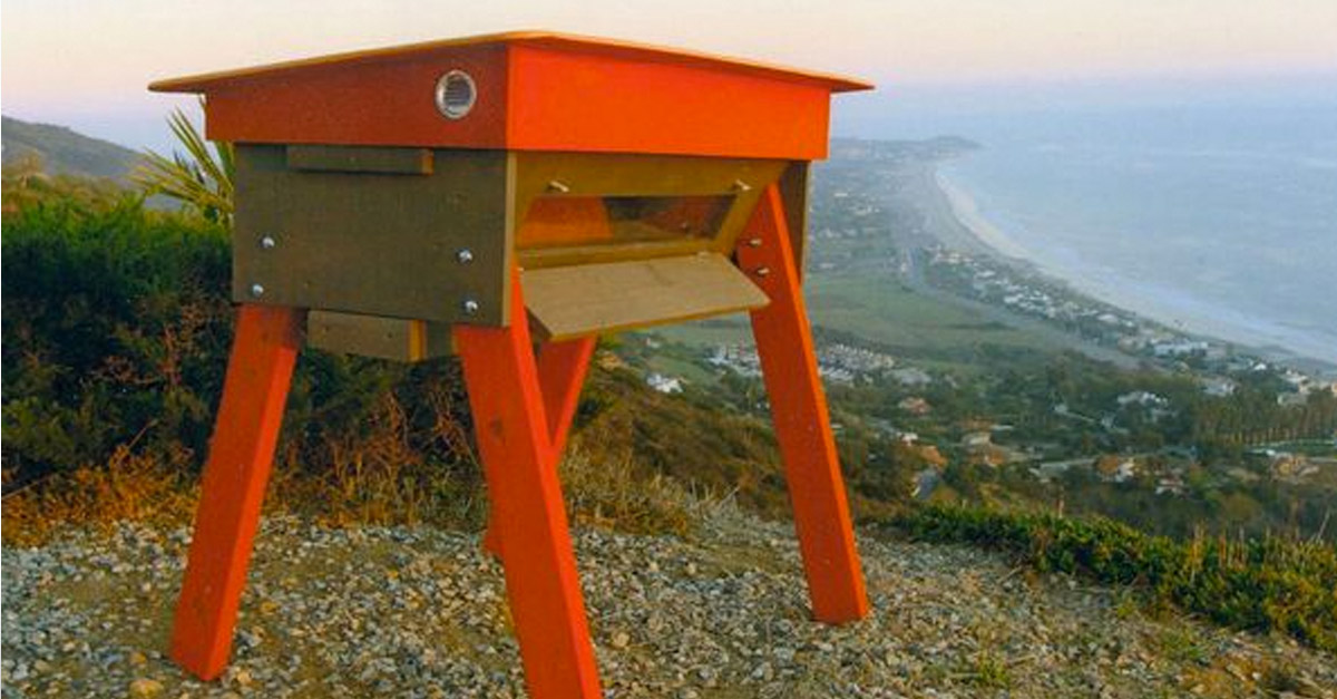 Amazing BuBees Beehive