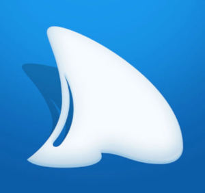 Dorsal Shark Reports