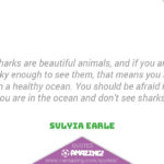 Amazing Shark Quote - Beautiful