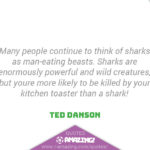 Amazing Shark Quote - Powerful
