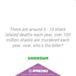 Amazing Shark Quote - Deaths