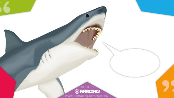 Amazing Shark Quotes
