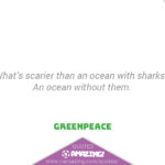 Amazing Shark Quote - Ocean