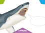 Amazing Shark Quotes