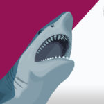 Dolphins and shark fight