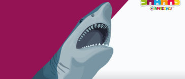 Dolphins and shark fight