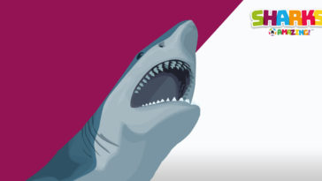 Dolphins and shark fight