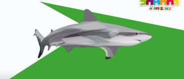 Lifesaving shark