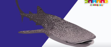 Shark extinction