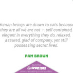 Amazing Cat Quotes - Elegant