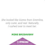 Amazing Cat Quotes - Gizmo