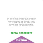 Amazing Cat Quotes - Gods