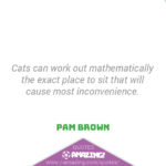 Amazing Cat Quotes - Inconvenience