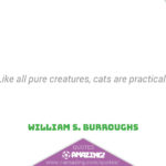 Amazing Cat Quotes - Pure