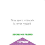 Amazing Cat Quotes - Time