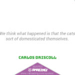 Amazing Cat Quotes - Domesticated