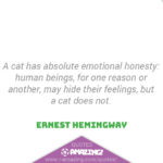 Amazing Cat Quotes - Honesty