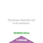 Amazing Cat Quotes - Oxymoron