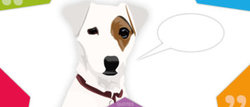 Amazing Dog Quotes