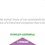 Amazing Dog Quotes - Companion