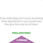 Amazing Dog Quotes - Counting