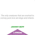 Amazing Dog Quotes - Evolved