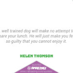 Amazing Dog Quotes - Guilty