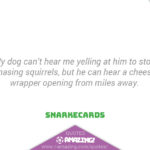 Amazing Dog Quotes - Hearing