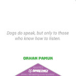Amazing Dog Quotes - Listen