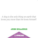 Amazing Dog Quotes - More