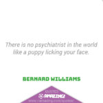 Amazing Dog Quotes - Puppy