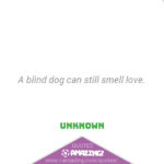 Amazing Dog Quotes - Smell