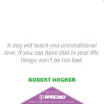 Amazing Dog Quotes - Teach