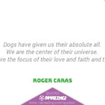 Amazing Dog Quotes - Trust